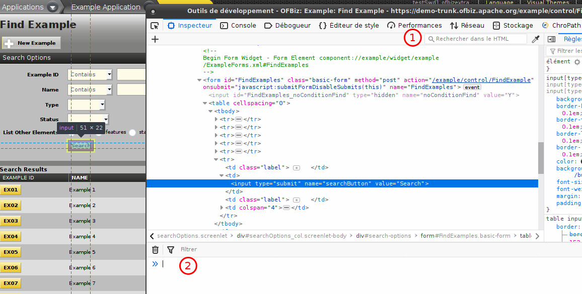 Browser developer Console